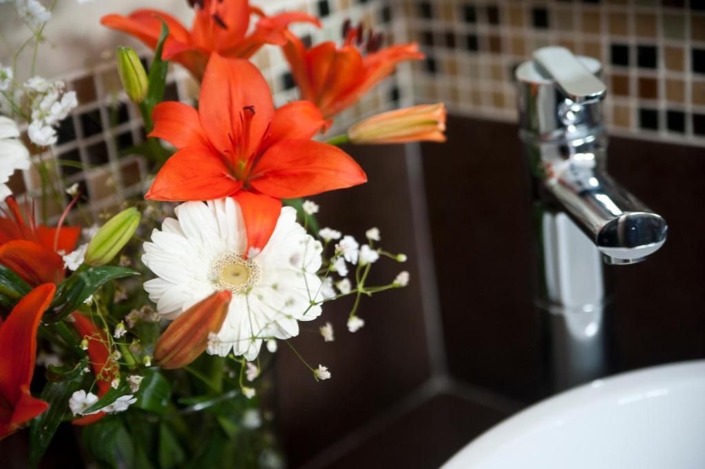 Casa Felicidad B&B Room & Kitchen Playa del Carmen Bilik gambar